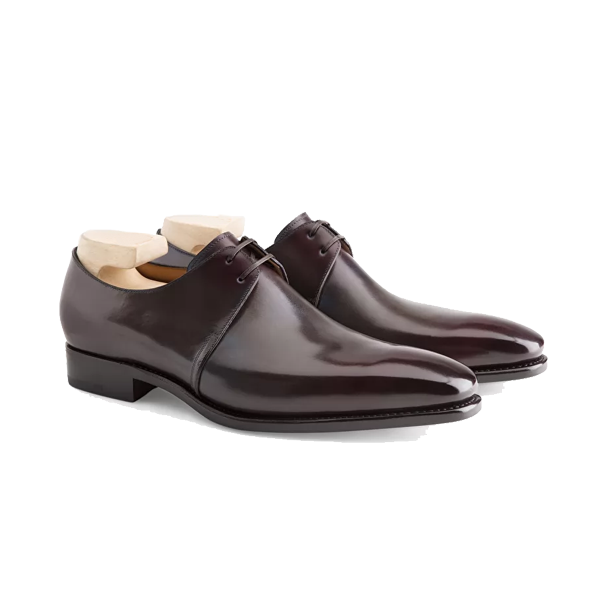 Derby Blucher Latest Designer Shoes