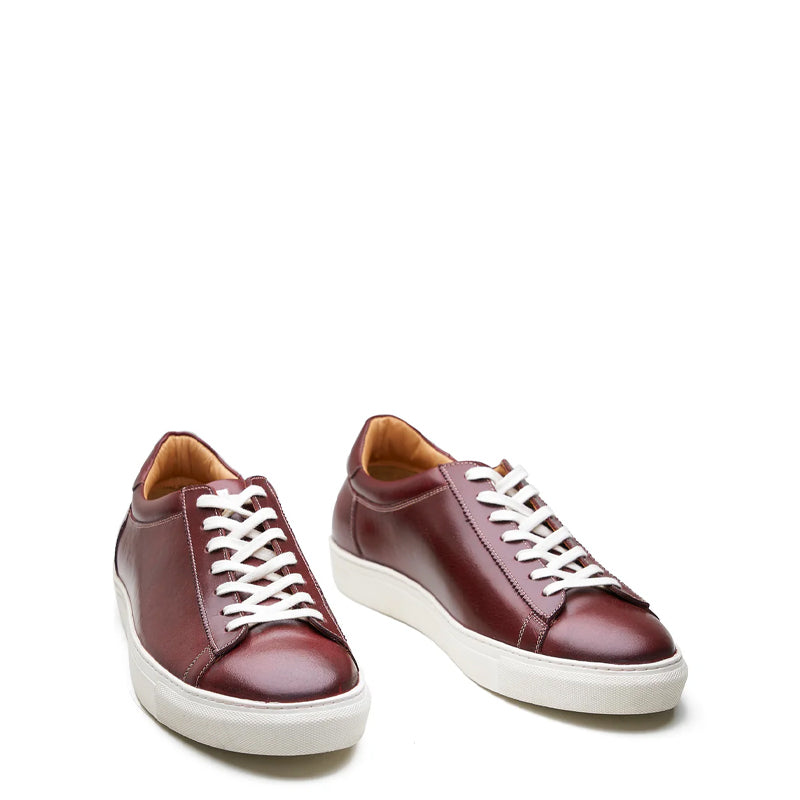 Lace up Sneaker Smart Casual Burgundy