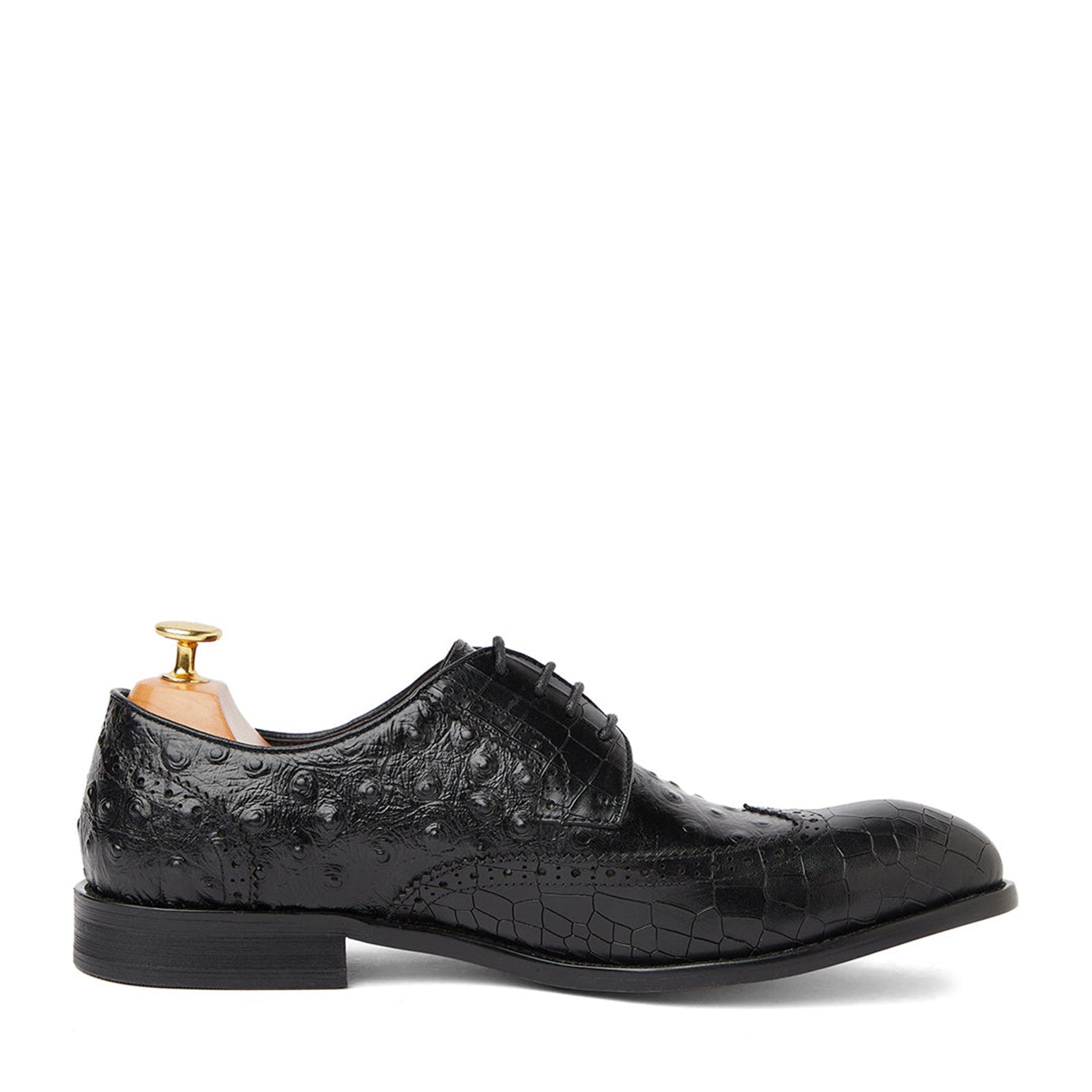 Ostrich Crocodile Shoes