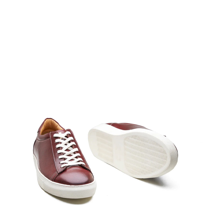 Lace-up Sneaker - Smart Casual